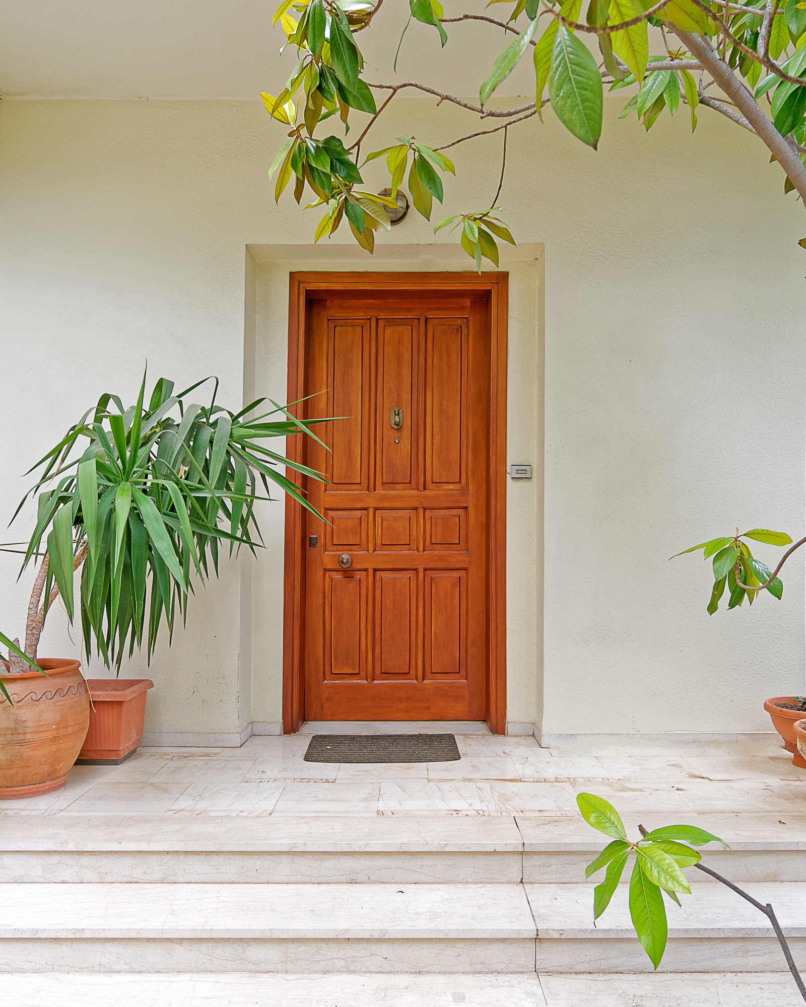 timber door