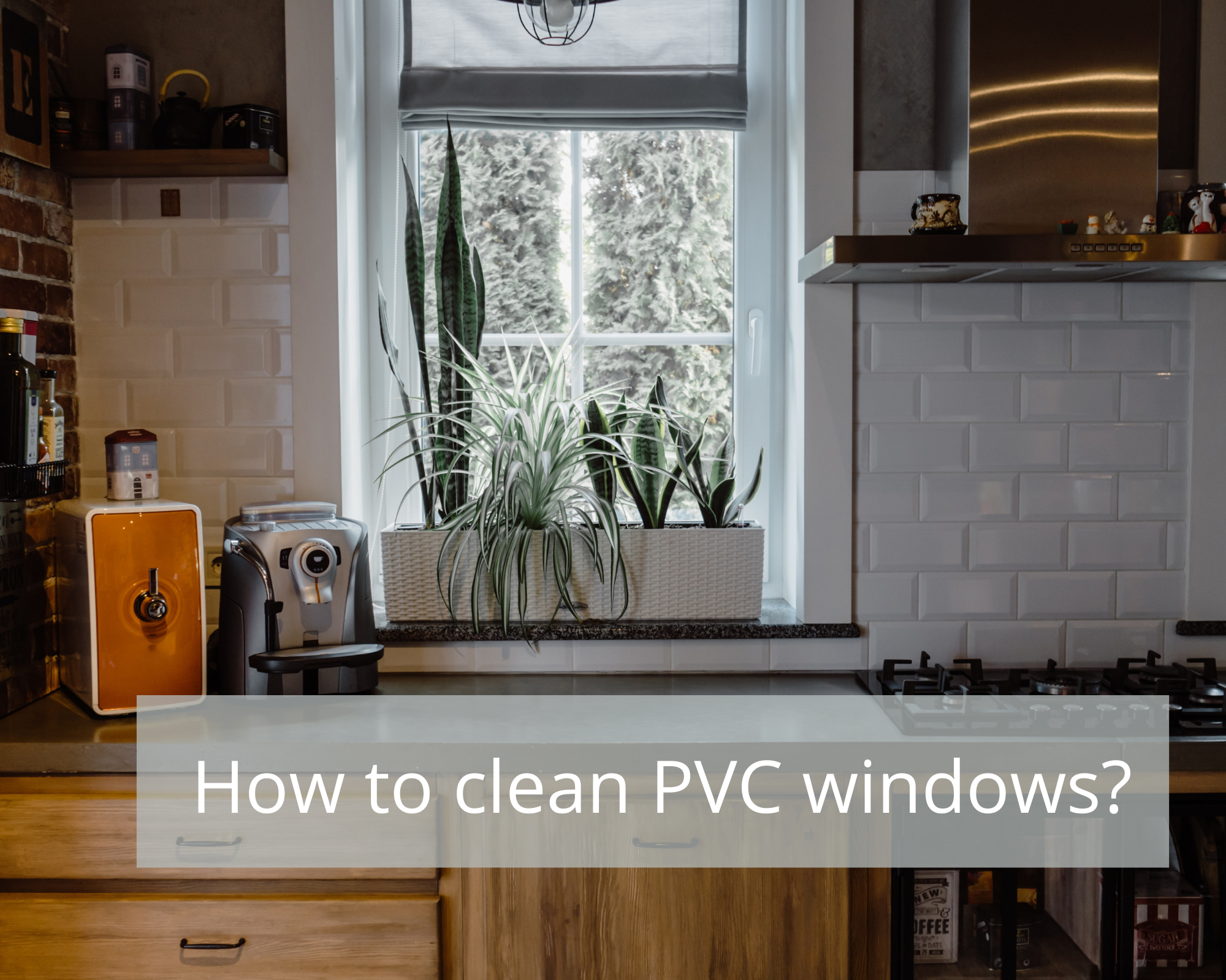 windows PVC