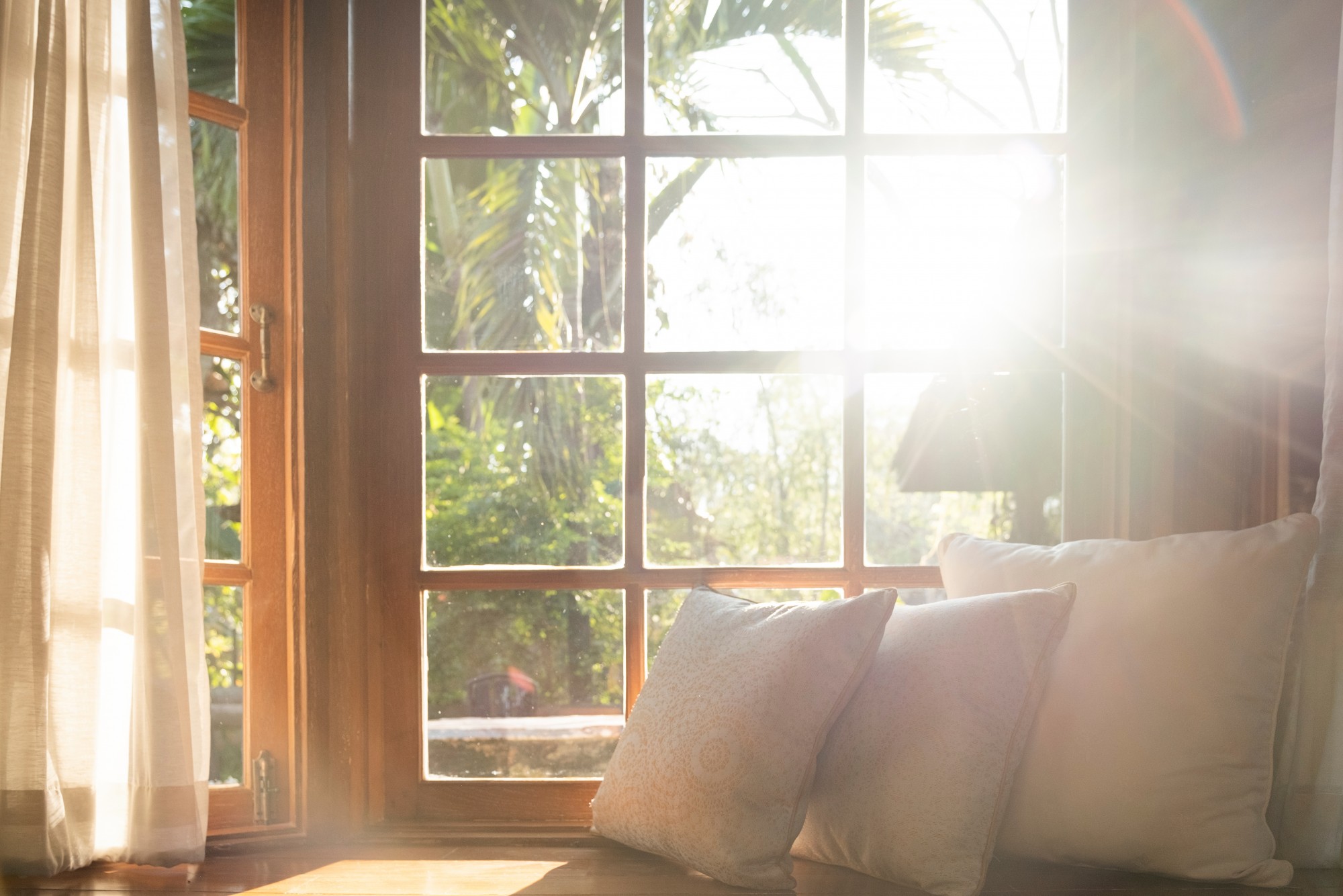 timber window