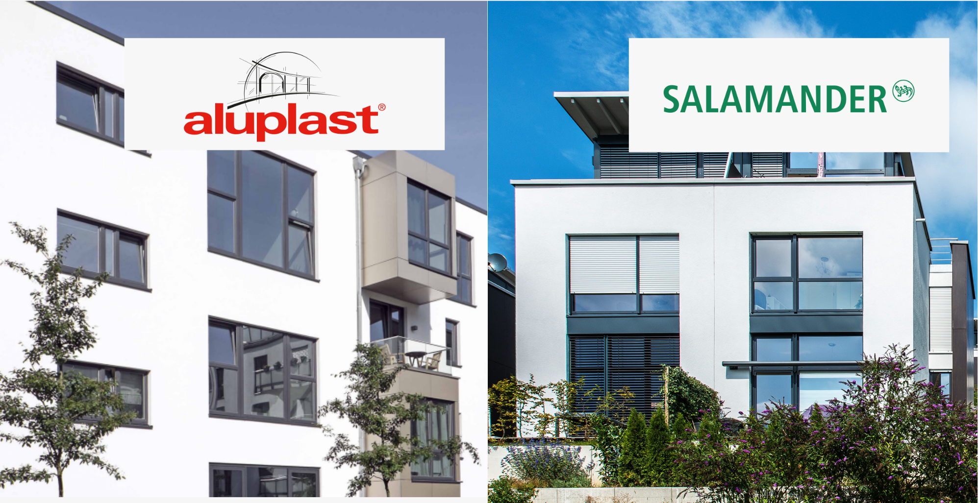 Aluplast or Salamander windows