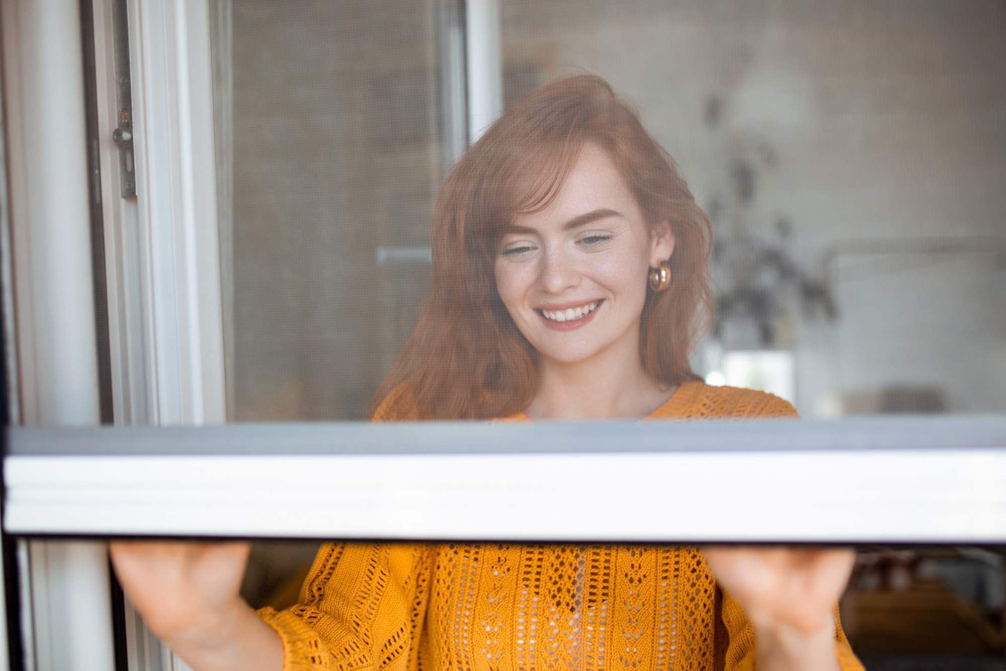 window with an insect screen