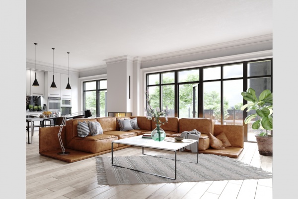Living room windows